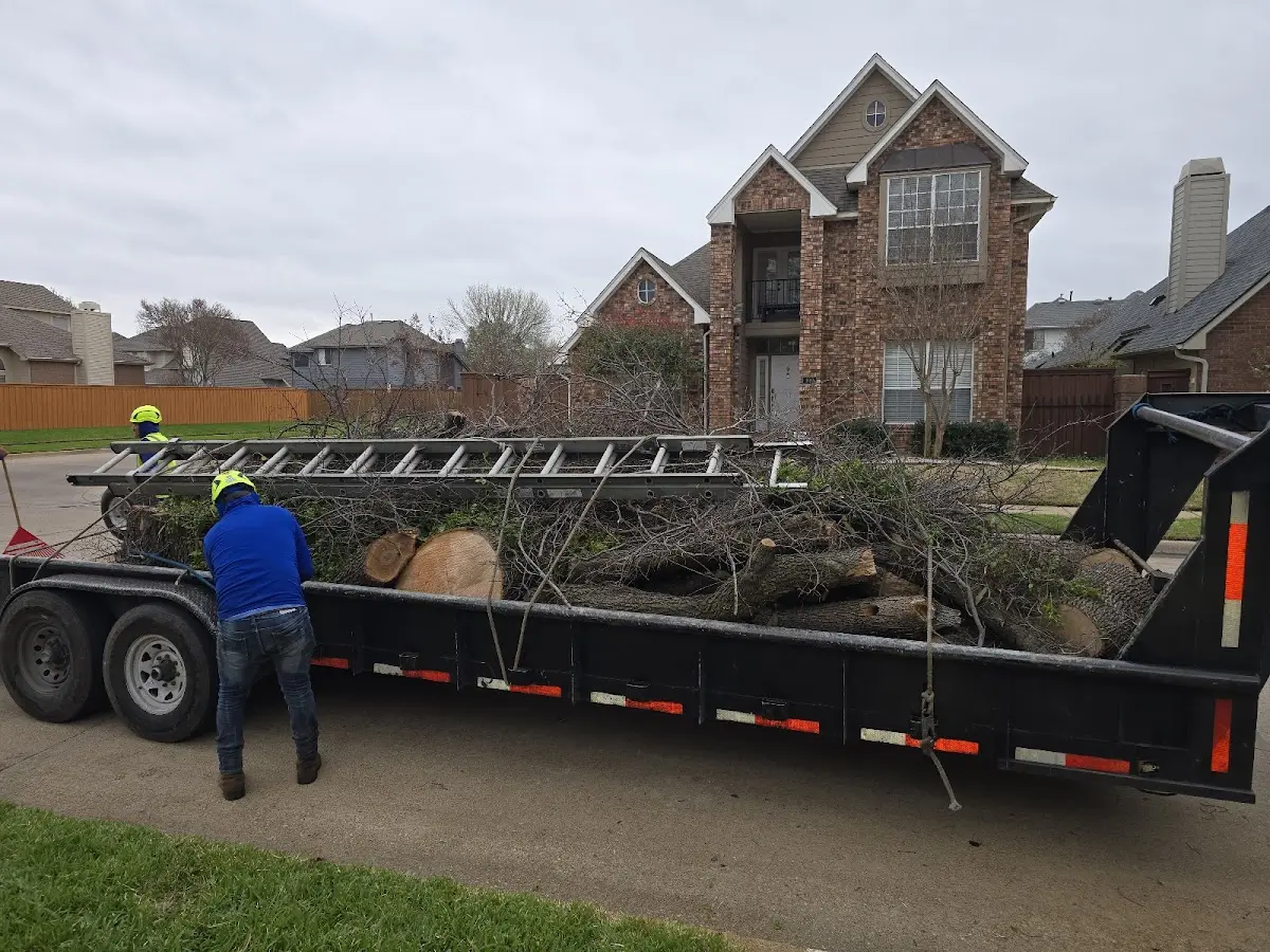 Expert Tree Pest Control with proper safety equipment in Tebbetts